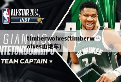 timberwolves(timberwolves山地车)