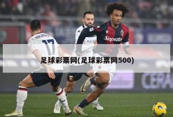 足球彩票网(足球彩票网500)