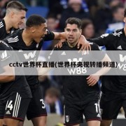 cctv世界杯直播(世界杯央视转播频道)