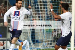 2006世界杯(2006世界杯决赛)