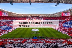 2014年世界杯(2014年世界杯冠军是哪个国家的)