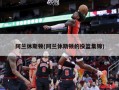 阿兰休斯顿(阿兰休斯顿的投篮集锦)