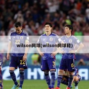 wilson网球(wilson网球鞋)