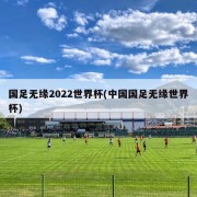 国足无缘2022世界杯(中国国足无缘世界杯)