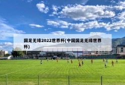 国足无缘2022世界杯(中国国足无缘世界杯)